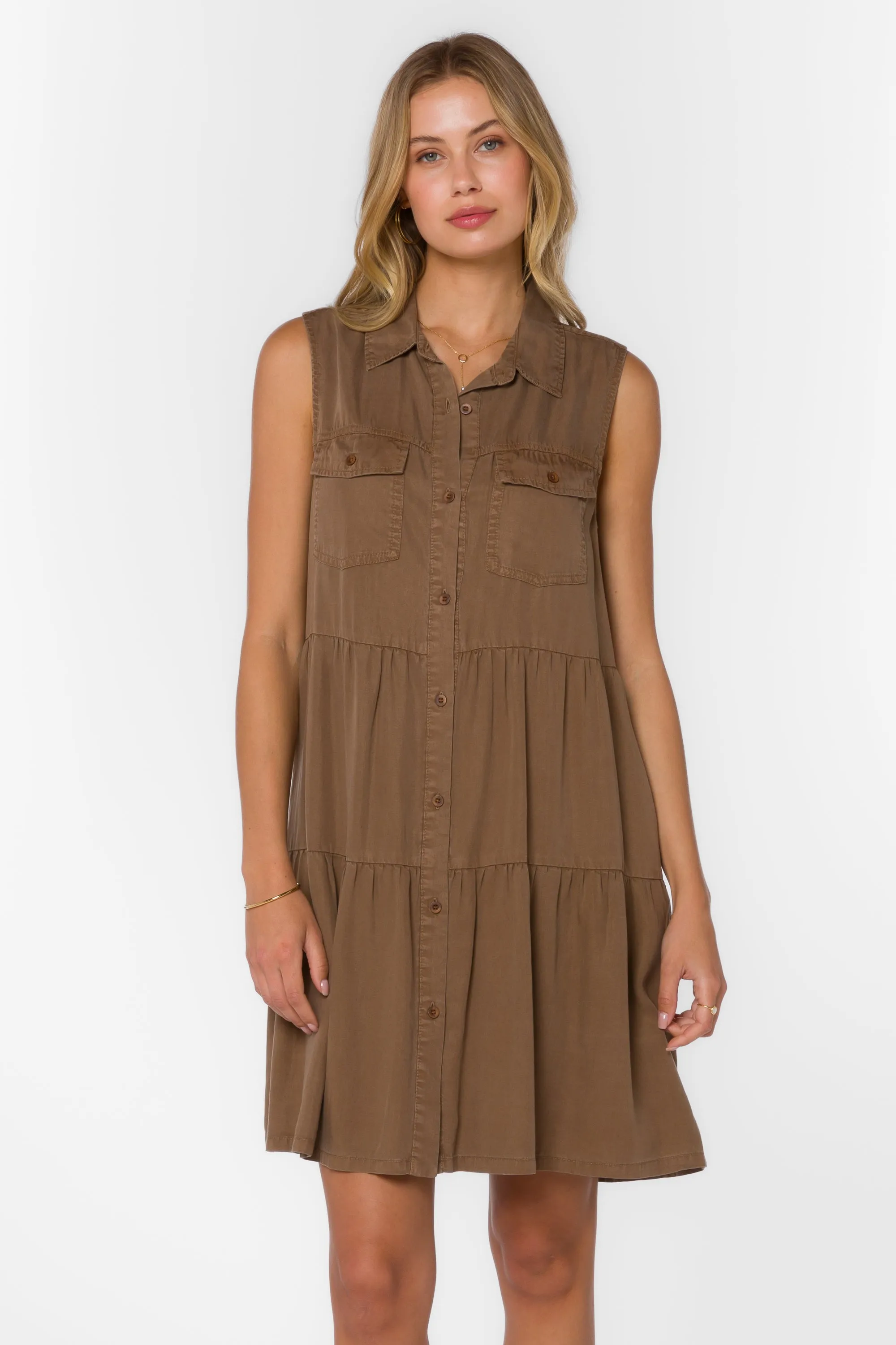 Collette Brown Dress