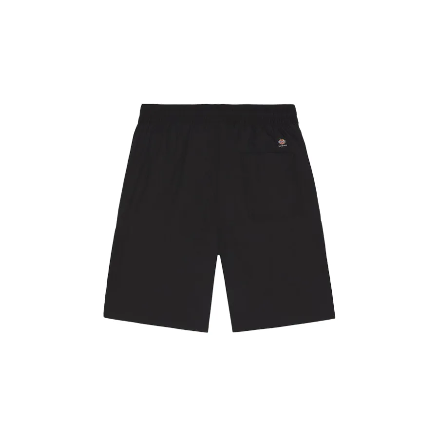 Dickies Jackson DK0A4YACBLK1 men's cargo shorts black