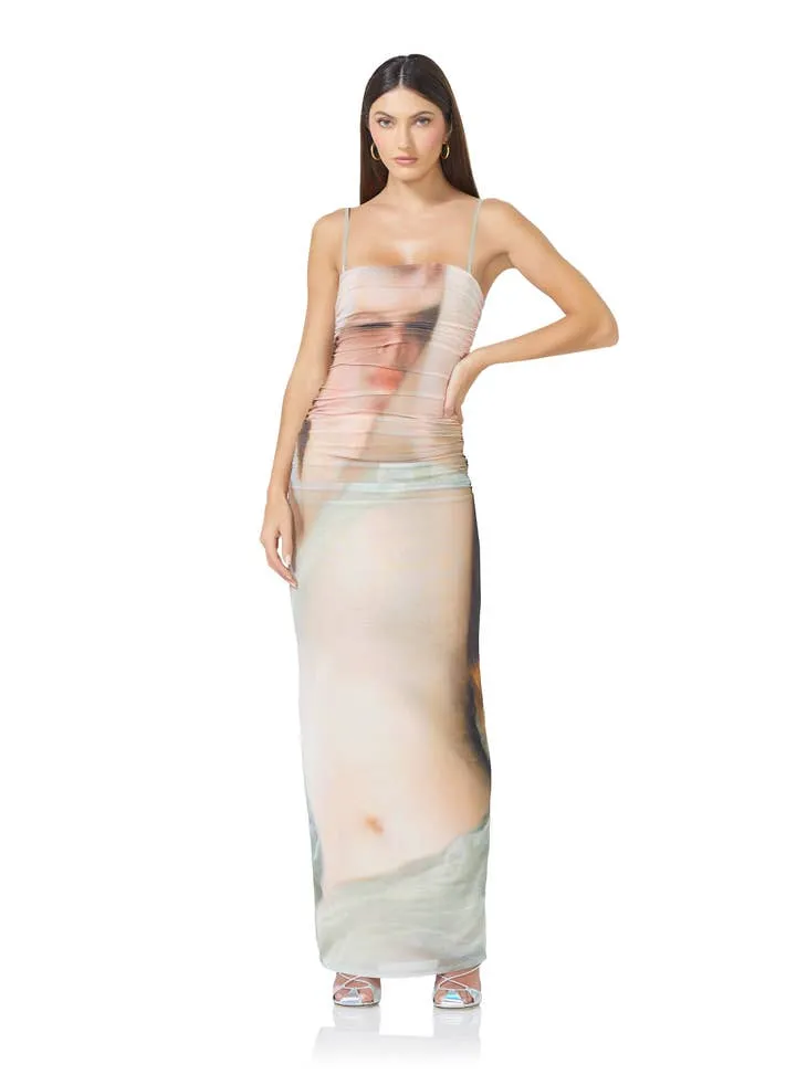 Jennan Ruched Photoprint Mesh Maxi Dress - Nude Portrait