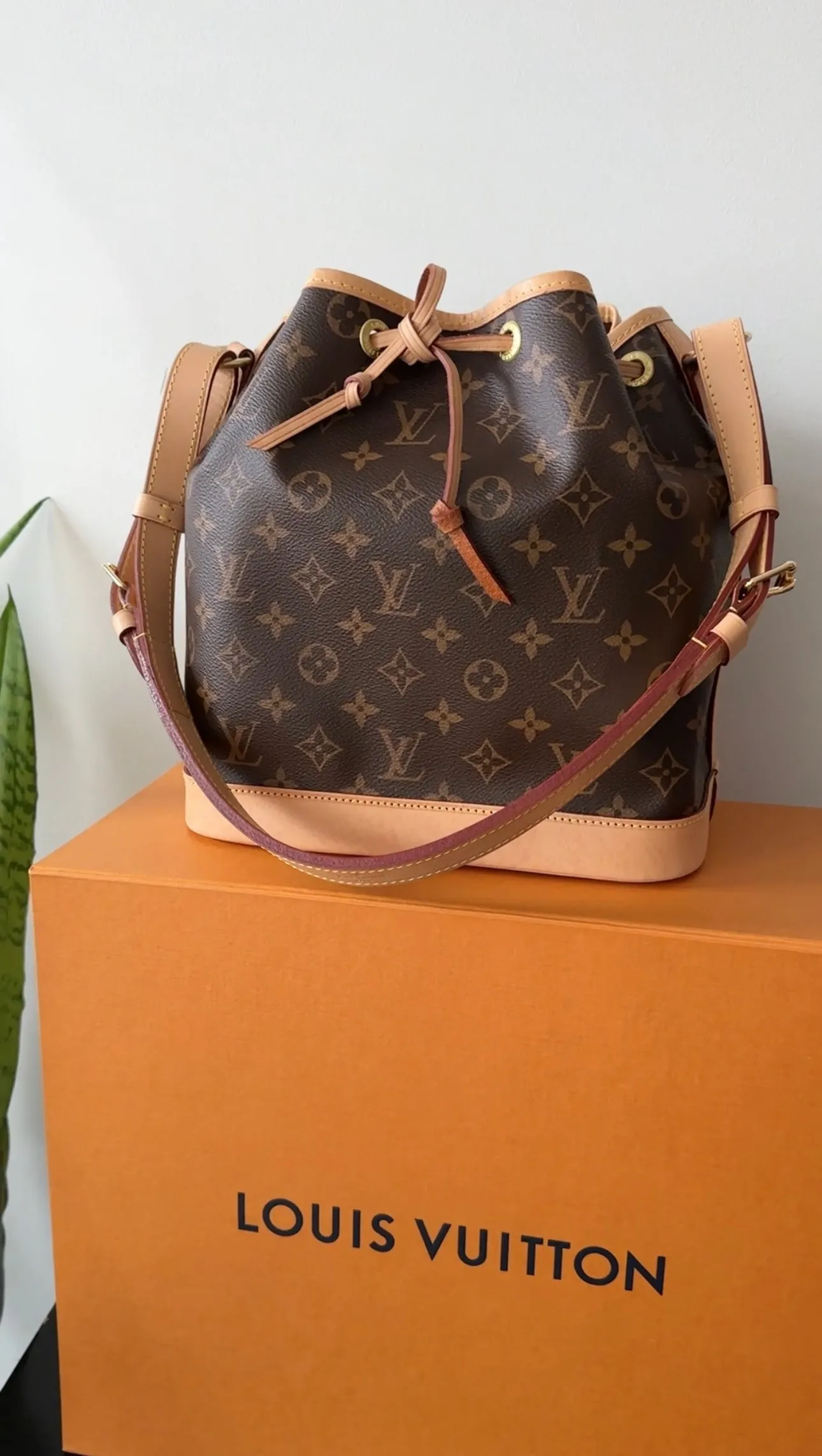 Louis Vuitton Monogram Canvas Petit Noe Drawstring Bag