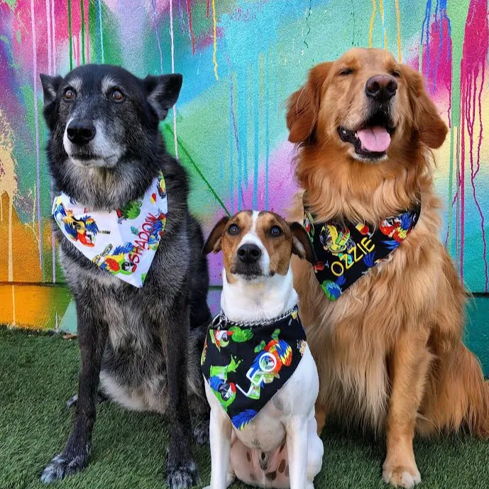 Margaritaville and Summer Sunglasses Embroidered Dog Bandanas