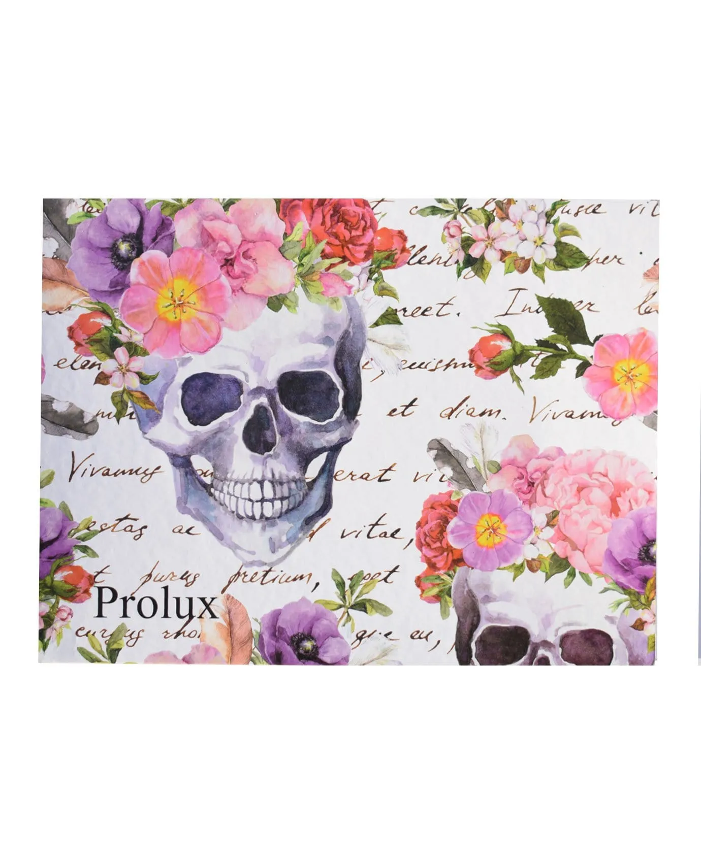 Prolux Skull Color Eyeshadow Palette